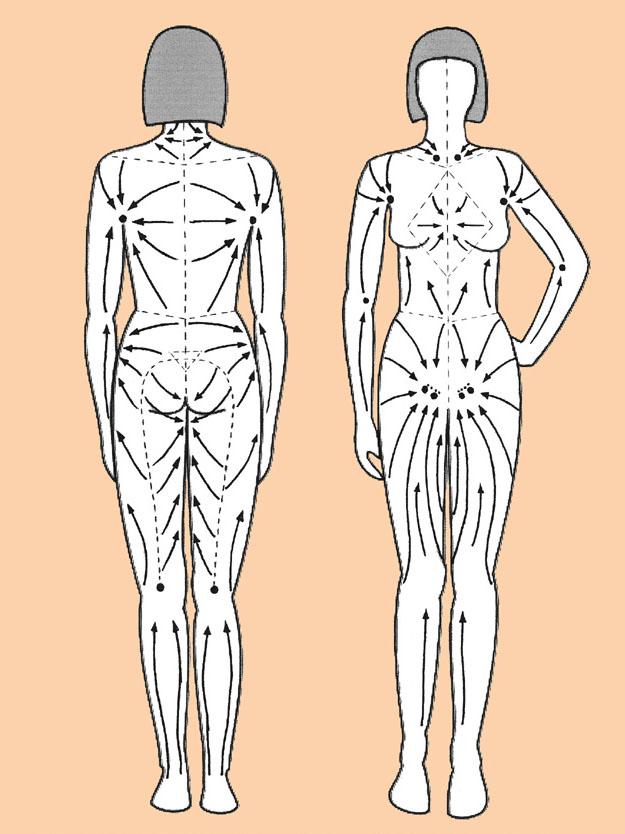 Схема направления лимфодренажных линий при выполнении антицеллюлитного массажа